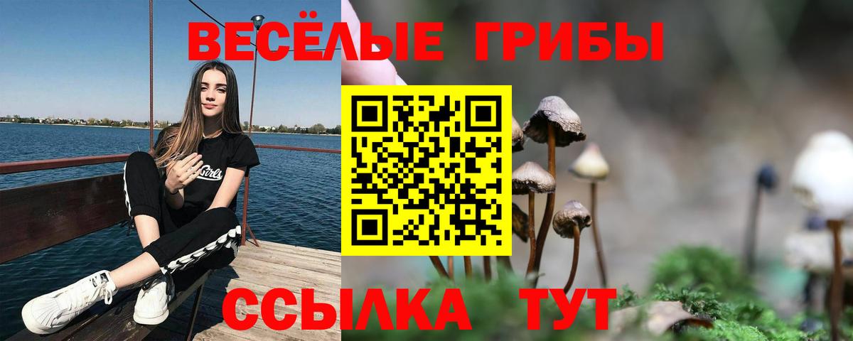 Ишимбай  купить  цена  Вход с VPN  Псилоцибиновые грибы Magic Shrooms  Псилоцибиновые грибы мицелий 